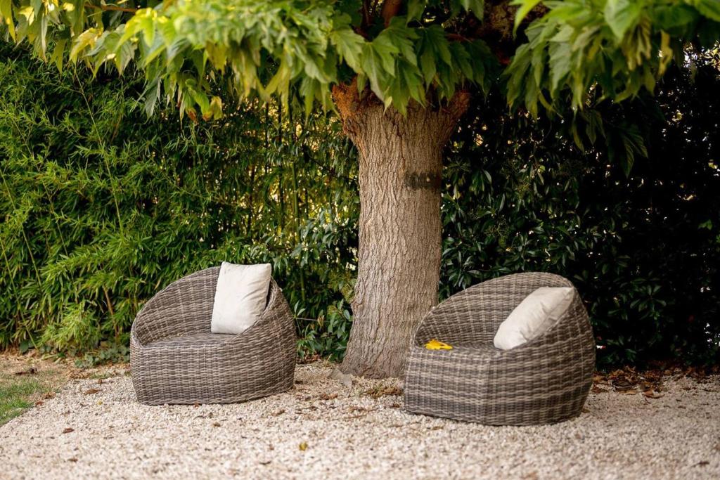 two wicker chairs sitting next to a tree at Maison de 4 chambres avec piscine privee jacuzzi et terrasse a Noves in Noves
