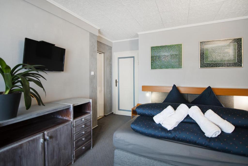 Pension Ayky - Triple Room With Mountain View