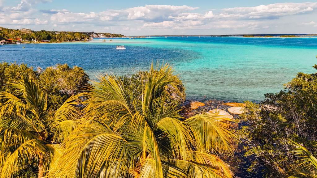 uma vista para uma praia com palmeiras e para o oceano em Hotel Azulea Bacalar - Lagoon Front em Bacalar