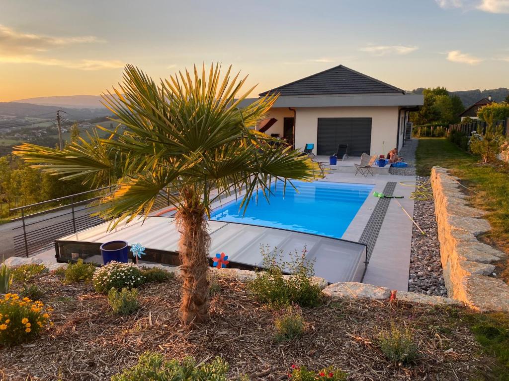 une villa avec un palmier et une piscine dans l'établissement CHAMBRES D'HOTES Chez Nicole et Christian, à Villaz