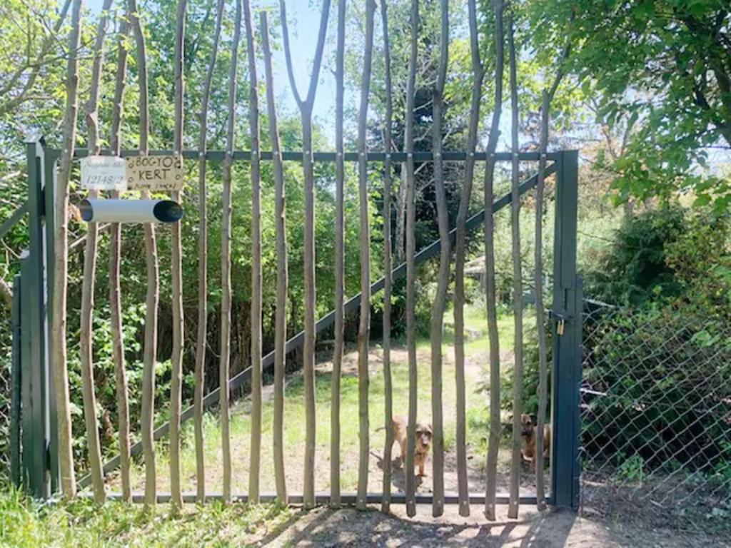 um portão com um cão atrás dele em Bogyó Kert em Nagymaros