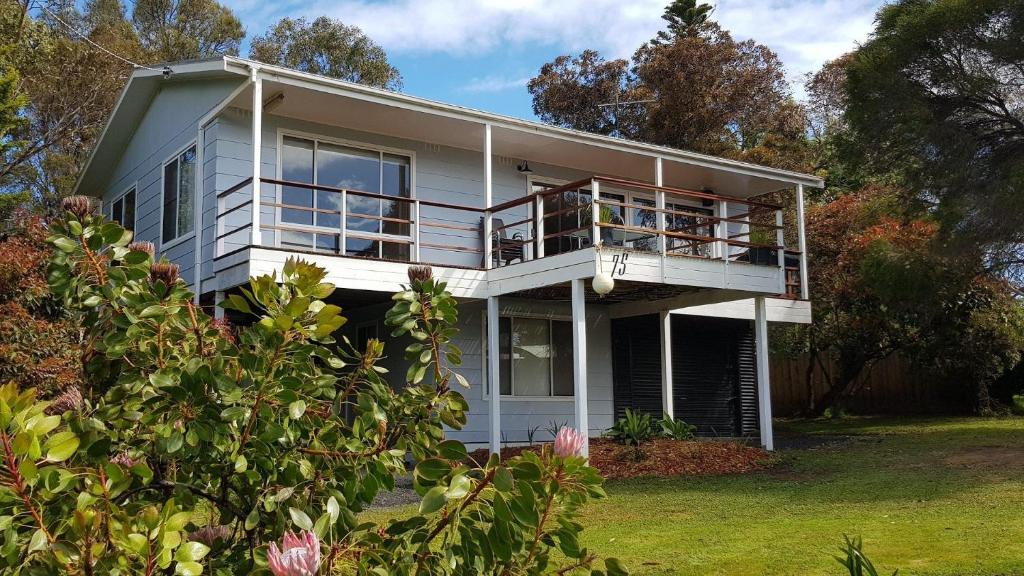 Κήπος έξω από το 75 Harris Road, T-tree House, Ventnor
