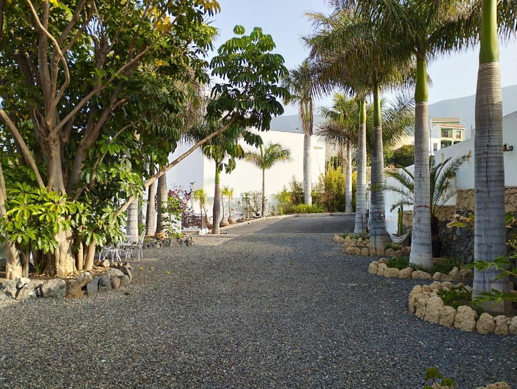 グイマルにあるOne bedroom apartement with sea view and enclosed garden at Guimar 4 km away from the beachのヤシの木並木と建物