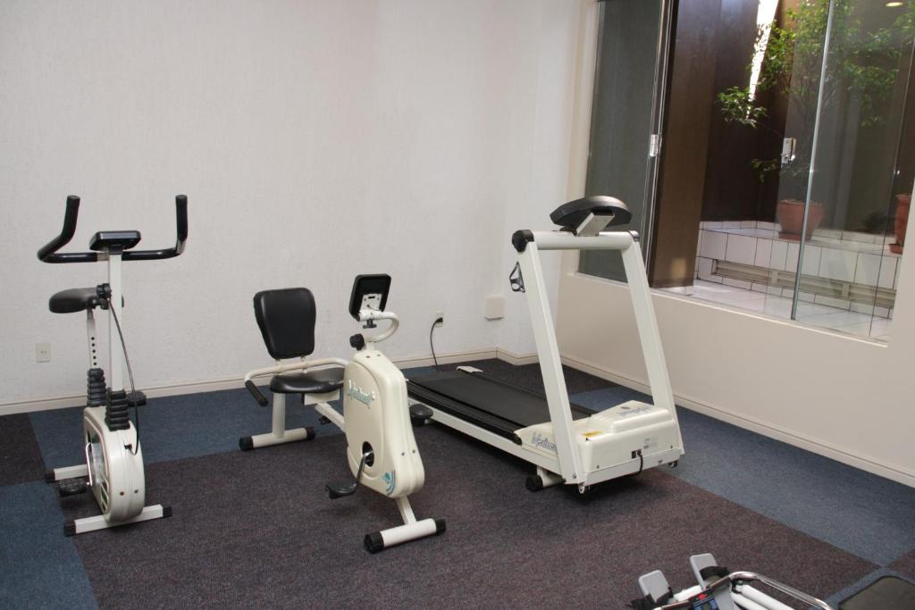 Fitness centrum a/nebo fitness zařízení v ubytování Kuster Hotel