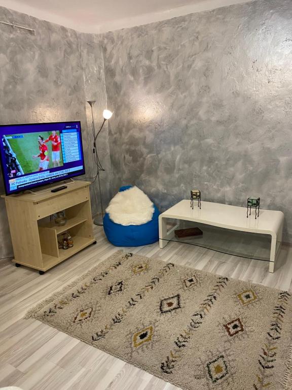 TV a/nebo společenská místnost v ubytování Comaniciu Sorin
