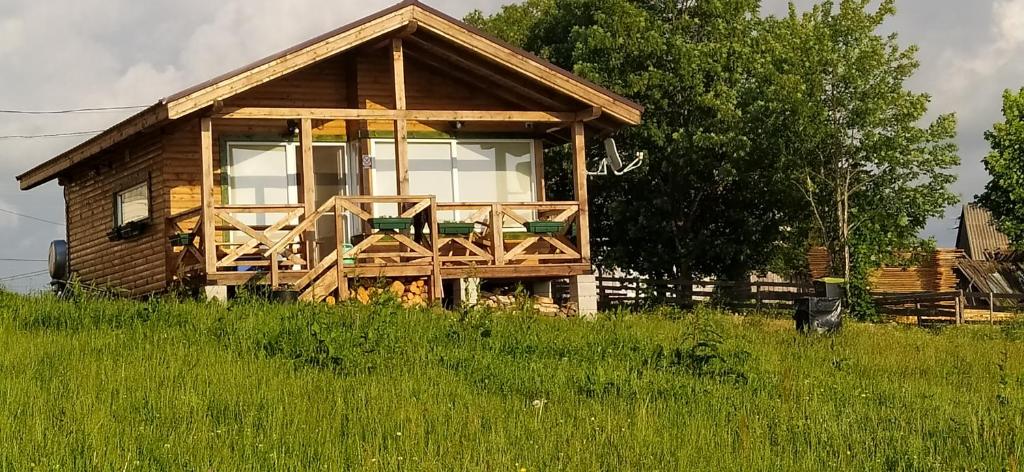 eine Holzhütte auf einem Feld mit hoher Wiese in der Unterkunft Casuta Schiorului 2, Mărișel Apuseni in Mărişel