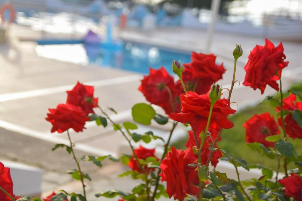 Bazén v ubytování Sunset Paradise Resort nebo v jeho okolí