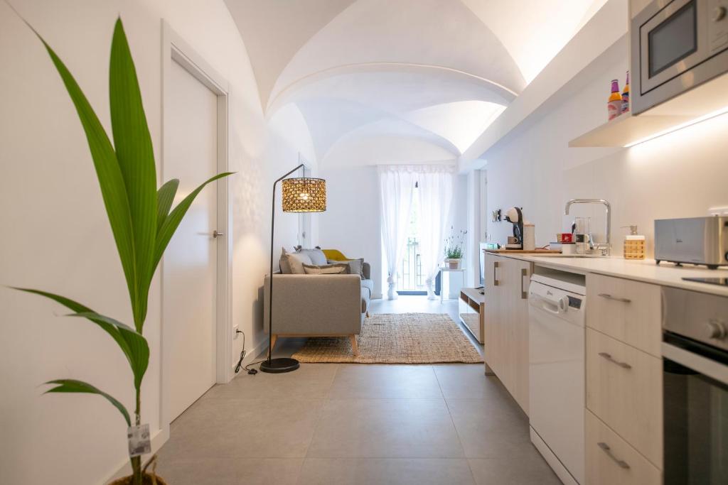 a kitchen with white cabinets and a potted plant at Can Planeses in Banyoles