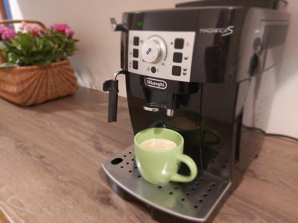 Eko Dworek tylko 1500m do wejścia Energylandii - 17