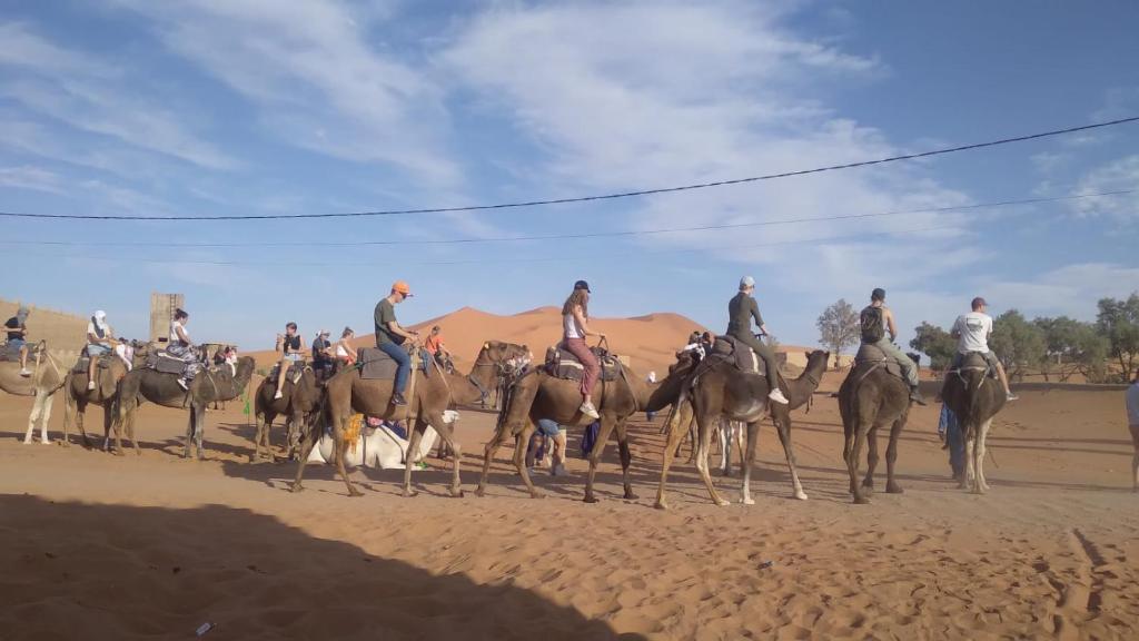 a group of people riding horses in the desert at Hostel la palmeraie merzouga in Merzouga