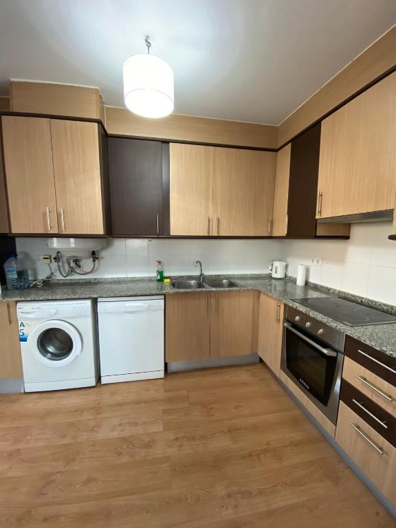 a kitchen with wooden cabinets and a white dishwasher at Apartamento Sant Blai in Tivissa