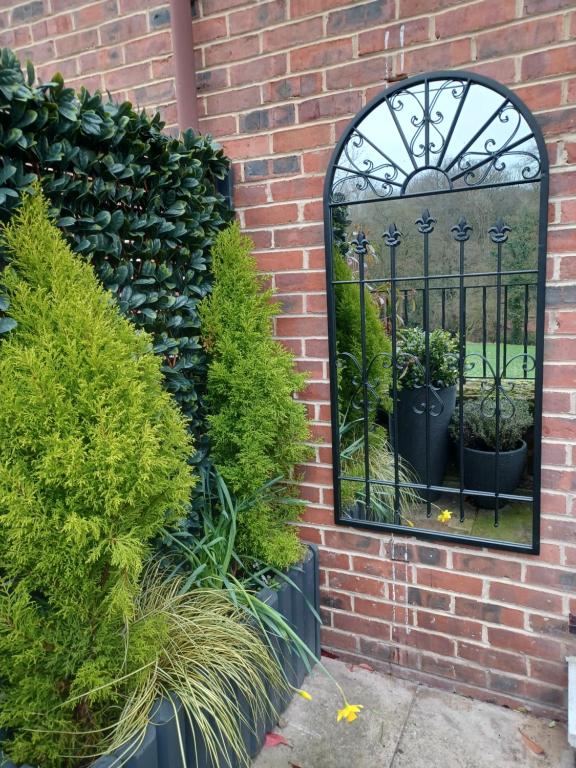 a mirror on the side of a brick wall with plants at Claro Mews Gem in Knaresborough