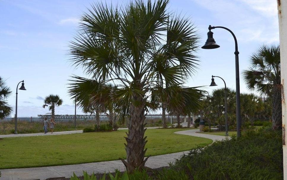 a palm tree in a park with a street light at SeaGypsy Motel in Myrtle Beach