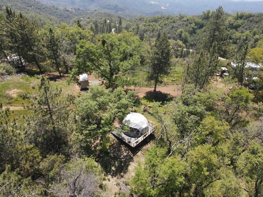 an aerial view of a tent in a field with trees at Enchanted Forest Dome ,10-15 minutes to Kings Canyons in Dunlap
