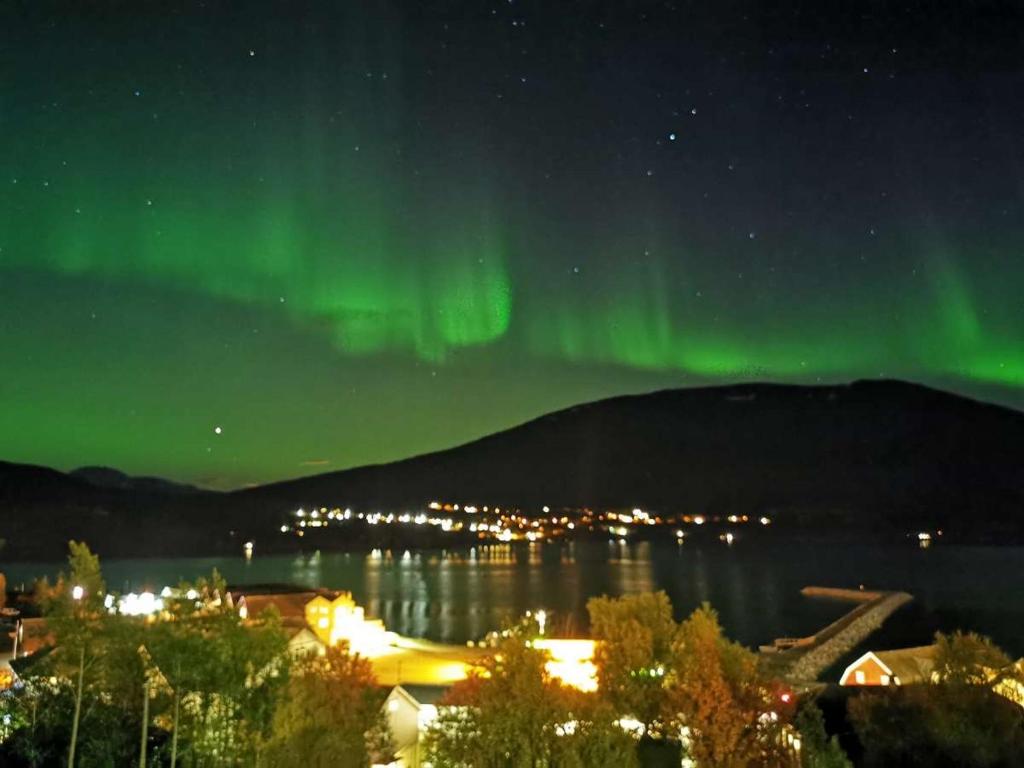 een noorderlicht boven een stad en een meer in de nacht bij Koselig overnattingssted med fjordutsikt in Sjøvegan