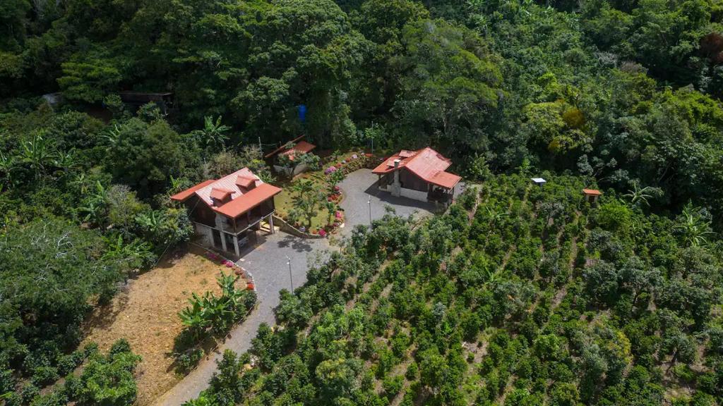 uma vista aérea de uma casa no meio de uma floresta em Finca Waca em San Pablo