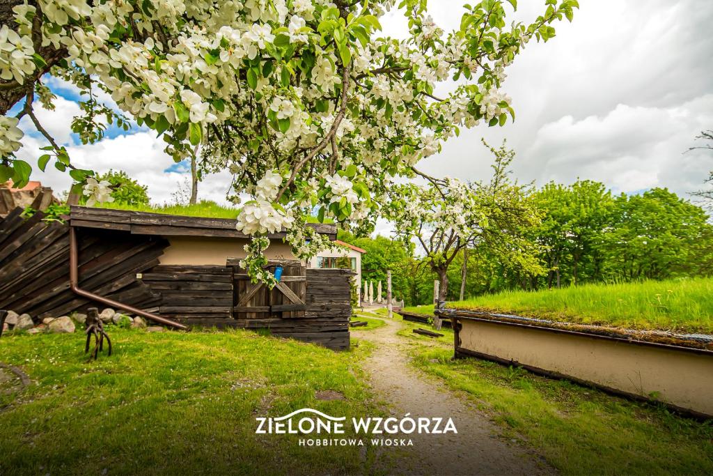 Fotografia z galérie ubytovania Zielone Wzgórza - Hobbitowe Domki na Kaszubach v destinácii Przywidz
