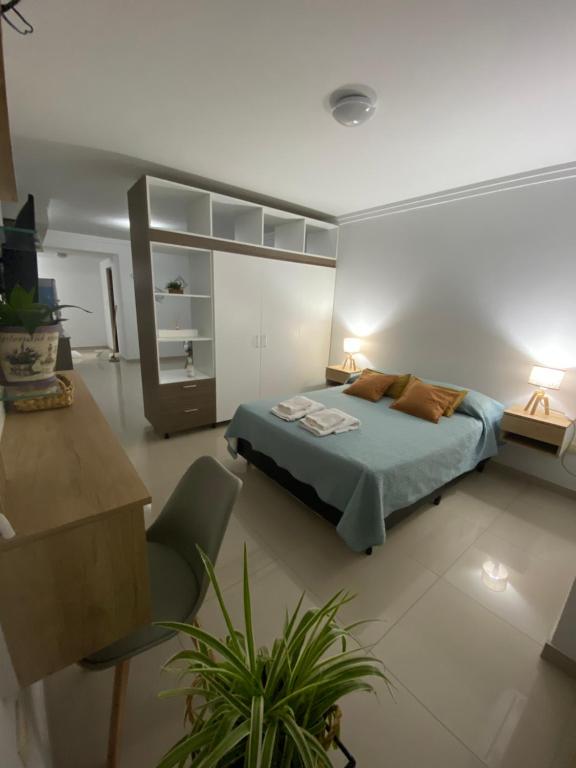 1 dormitorio con cama, escritorio y silla en Edificio del Sur en Santiago del Estero