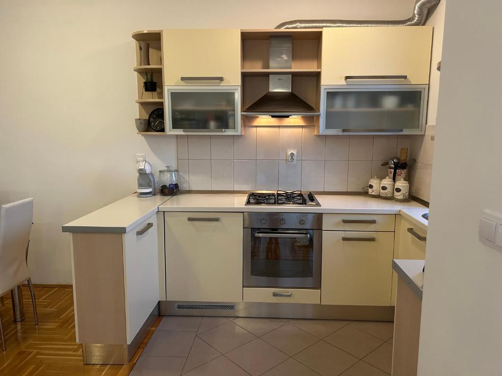 Kuchyň nebo kuchyňský kout v ubytování Apartment Antonia