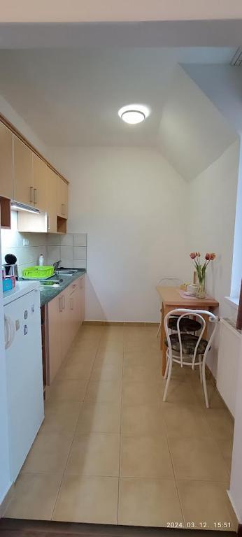 Kuchnia lub aneks kuchenny w obiekcie Borisz Apartman Zalakaros