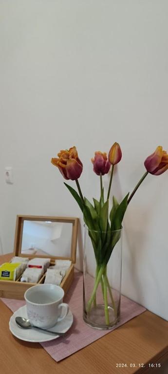 Zdjęcie z galerii obiektu Borisz Apartman Zalakaros w Zalakaros