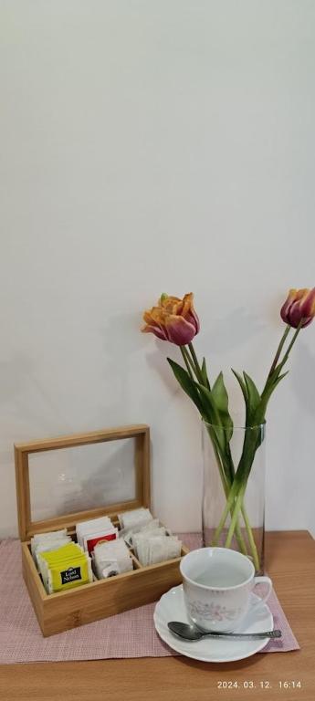 Zdjęcie z galerii obiektu Borisz Apartman Zalakaros w Zalakaros