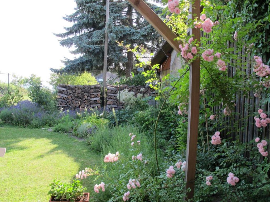 Zahrada ubytování L'Eau Forte - maison d'hôtes