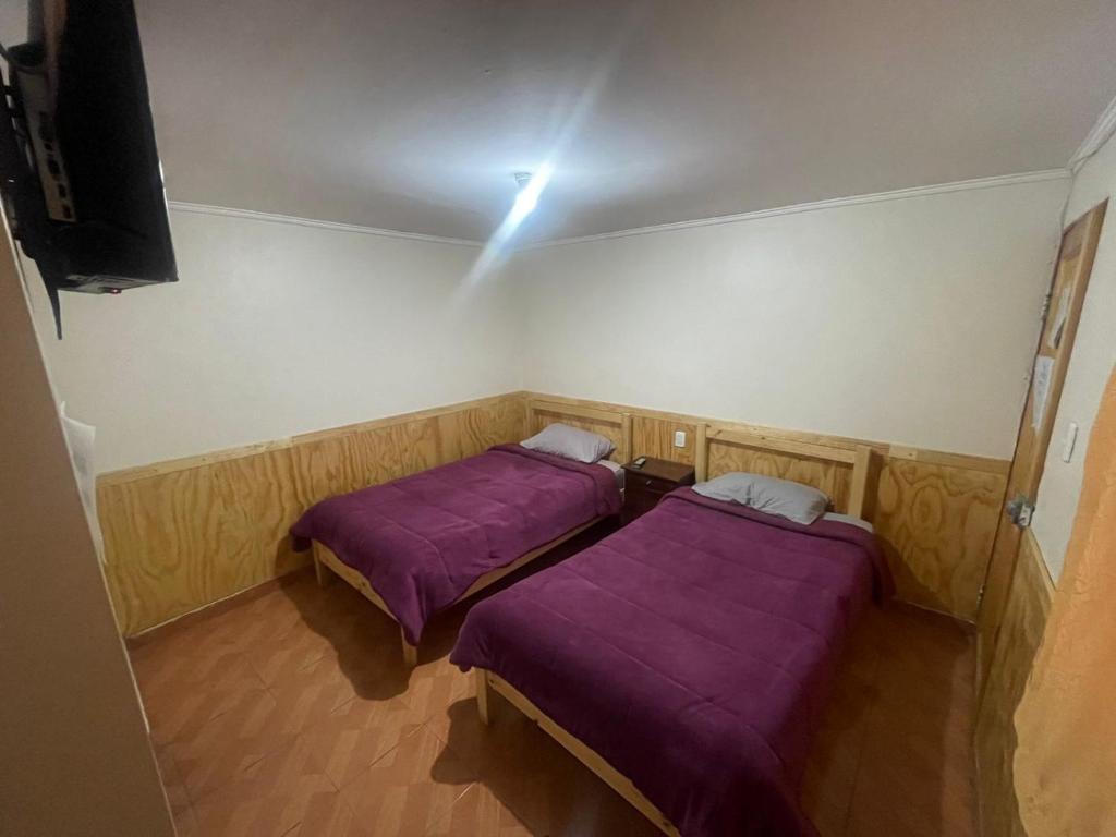 Postel nebo postele na pokoji v ubytování Hostal Las Ñipas