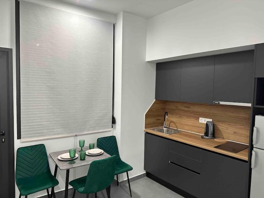 Kuchyň nebo kuchyňský kout v ubytování Cozy apartment in a new building apartment 4