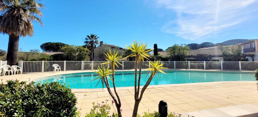 - une piscine dans une cour avec des palmiers dans l'établissement Island of calm with sea view, à Saint-Tropez