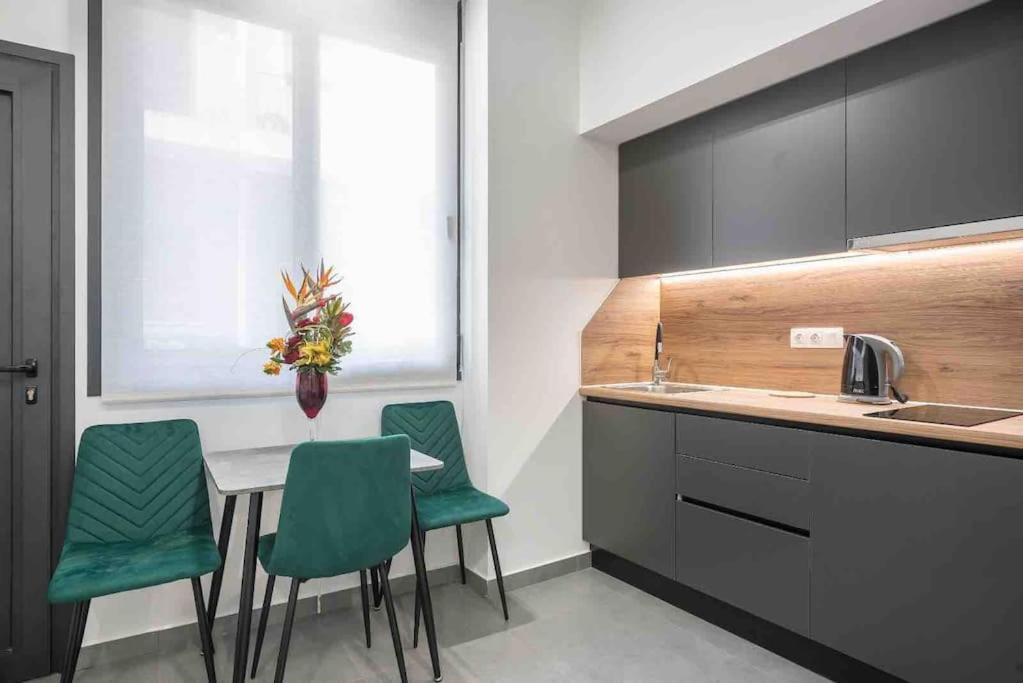 Kuchyň nebo kuchyňský kout v ubytování Cozy apartment in a new building apartment 4