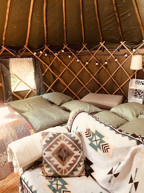 Imagen de la galería de Yurt Between Lilac and Fuchsia, en Mountshannon