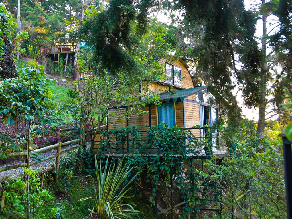Cette maison en bois possède un balcon dans les bois. dans l'établissement Omghat Glamping - Cabaña Shiva, à El Peñol