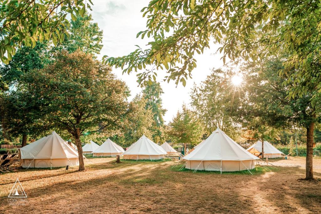 un grupo de tiendas de campaña en un campo con árboles en Lodg'ing Nature Camp Anjou NEW 2024, en Sainte-Gemme-sur-Loire