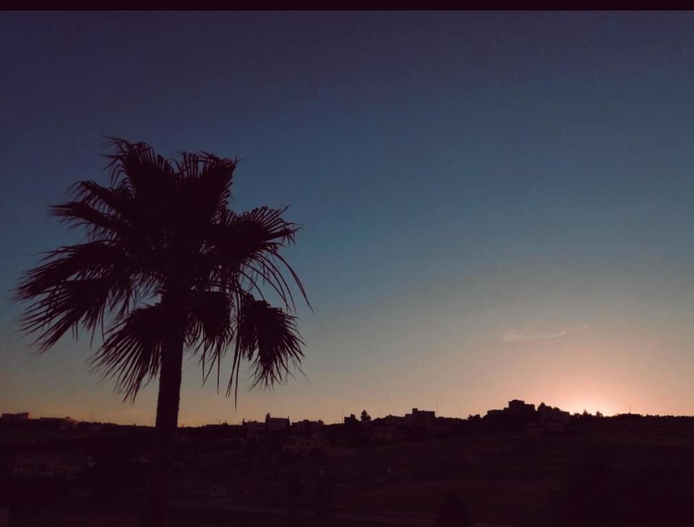 a palm tree with the sunset in the background at Sunset Roof apartment in Madaba