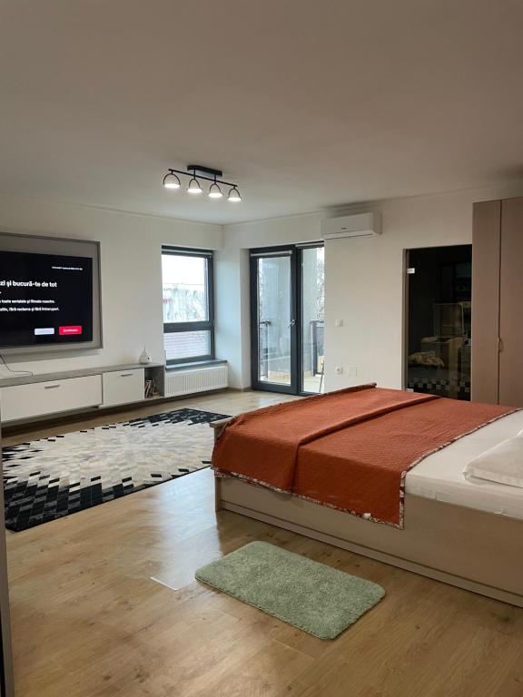 a bedroom with a large bed and a flat screen tv at Eben ezer concept in Târgu-Mureş