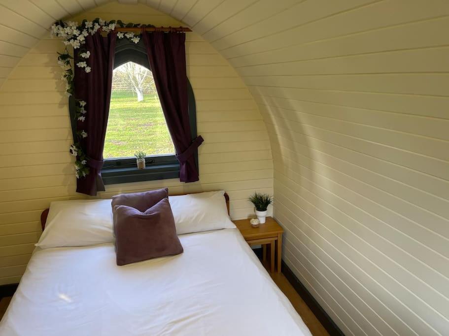 Belle Vista Glamping & Camping 4
