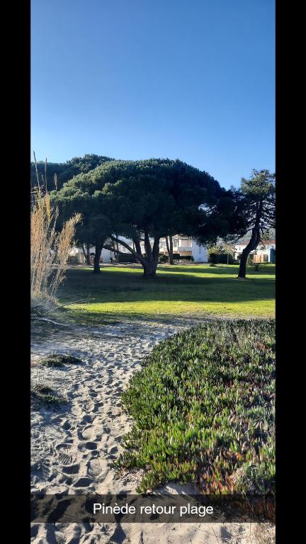 un chemin dans un parc avec des arbres en arrière-plan dans l'établissement Location appartement les pieds dans l'eau, Résidence Aqua Linda à Poggio-Mezzana, à Poggio-Mezzana