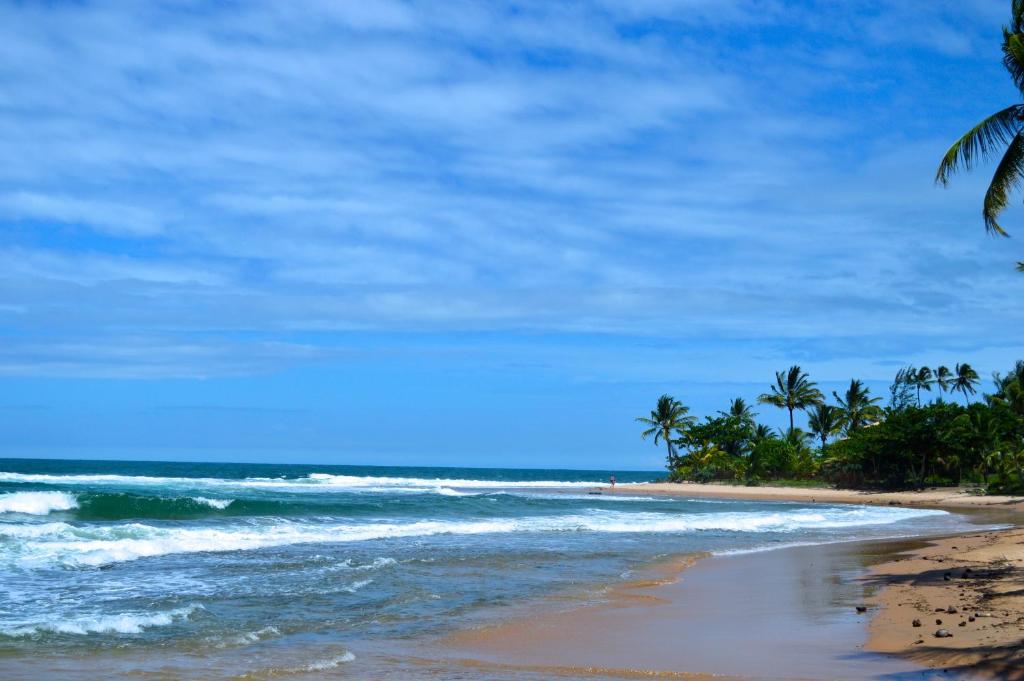  Pousada do Holandes Bahia