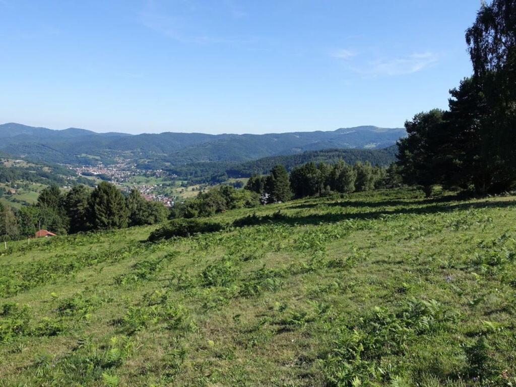 a grassy hill with a view of a city at Modern apartment in Soultzeren in Soultzeren