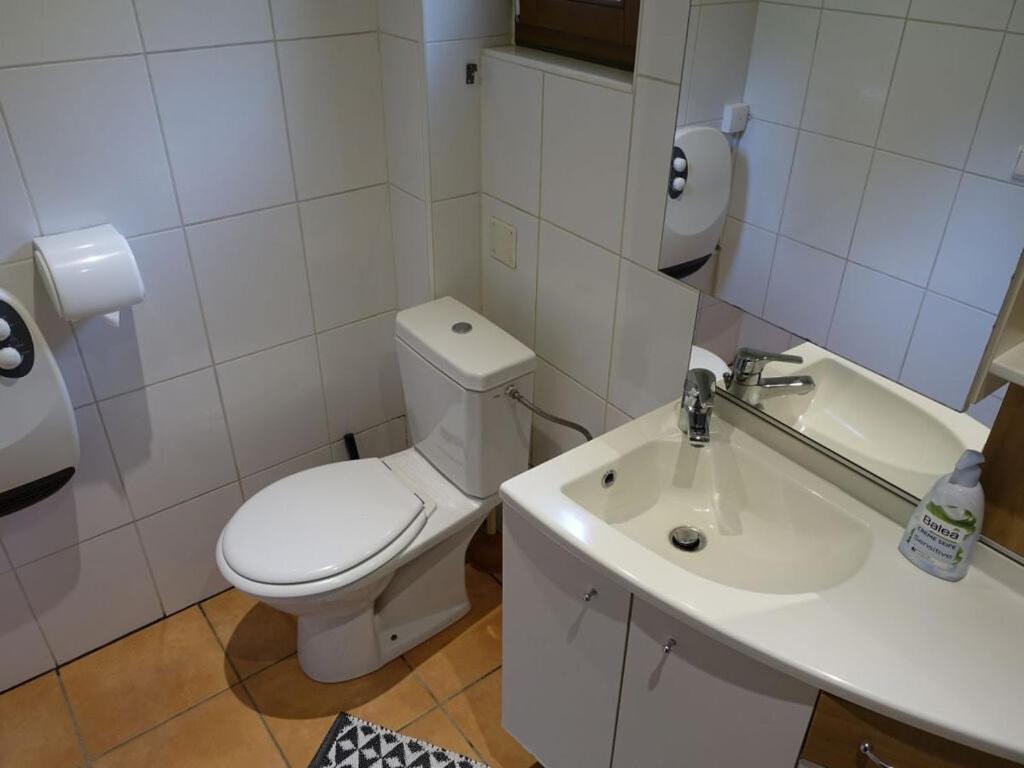 a bathroom with a white toilet and a sink at Modern apartment in Soultzeren in Soultzeren