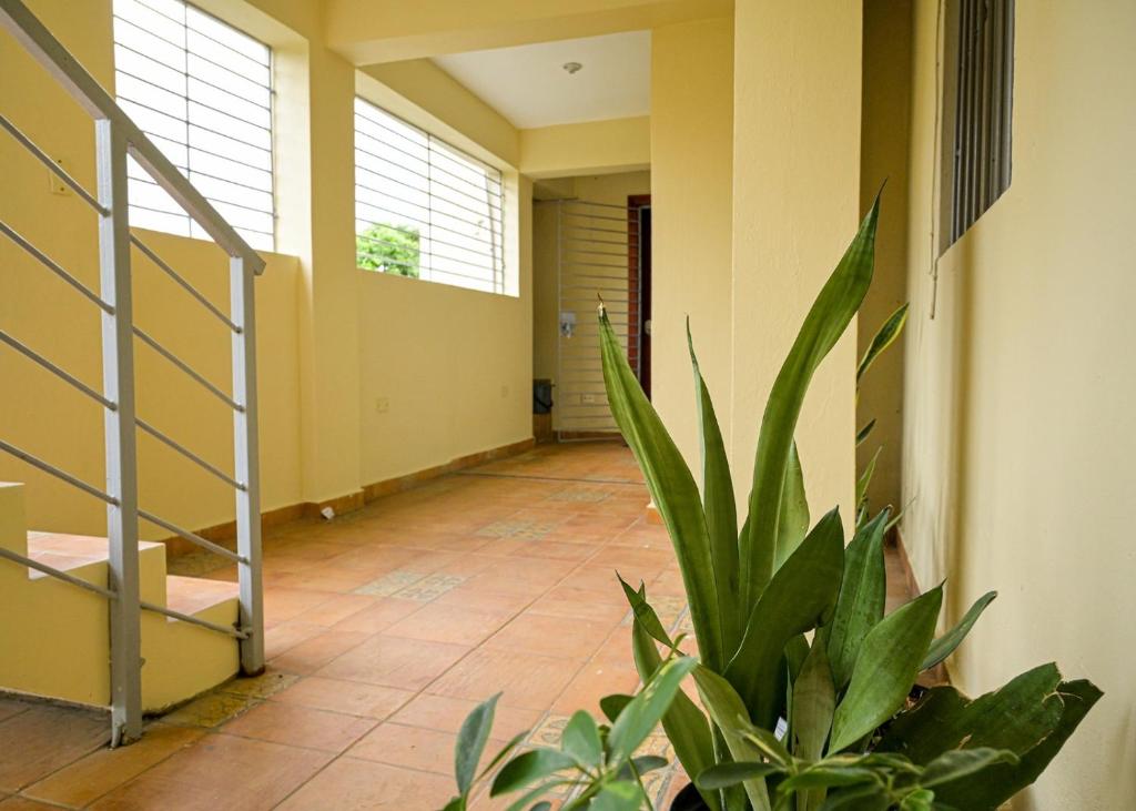 a hallway with a staircase and a plant at Suite in San Pedro De Macoris in San Pedro de Macorís