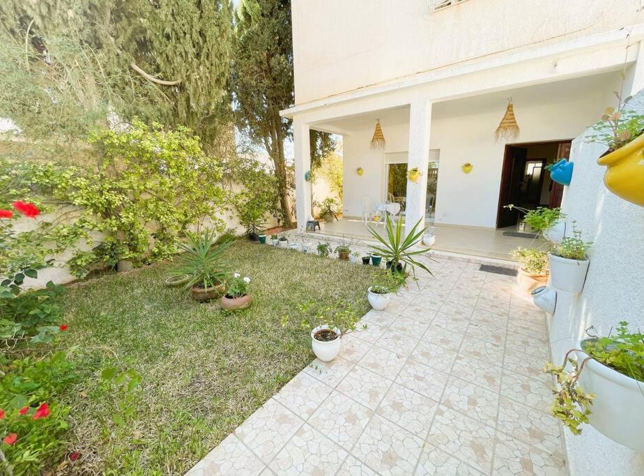 a yard with potted plants and a house at vibrant bright house of La Marsa in La Marsa