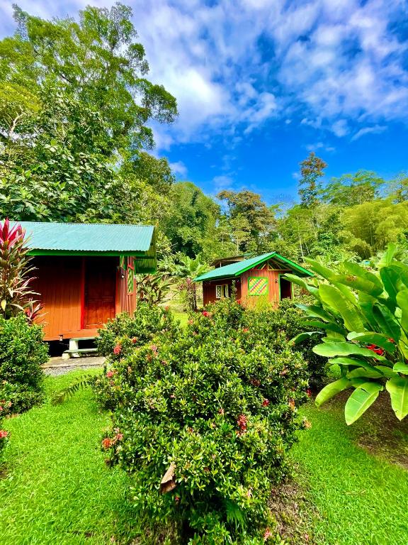 Fotografie z fotogalerie ubytování Alouatta Lodge and Canopy v destinaci Cahuita