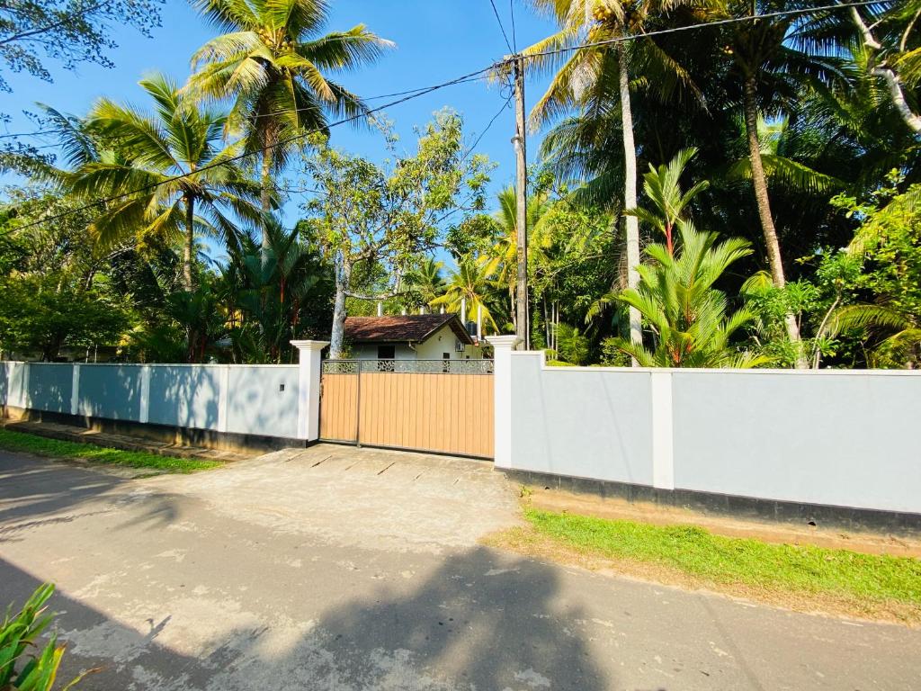 a fence next to a street with palm trees at Ran Villa in Galle