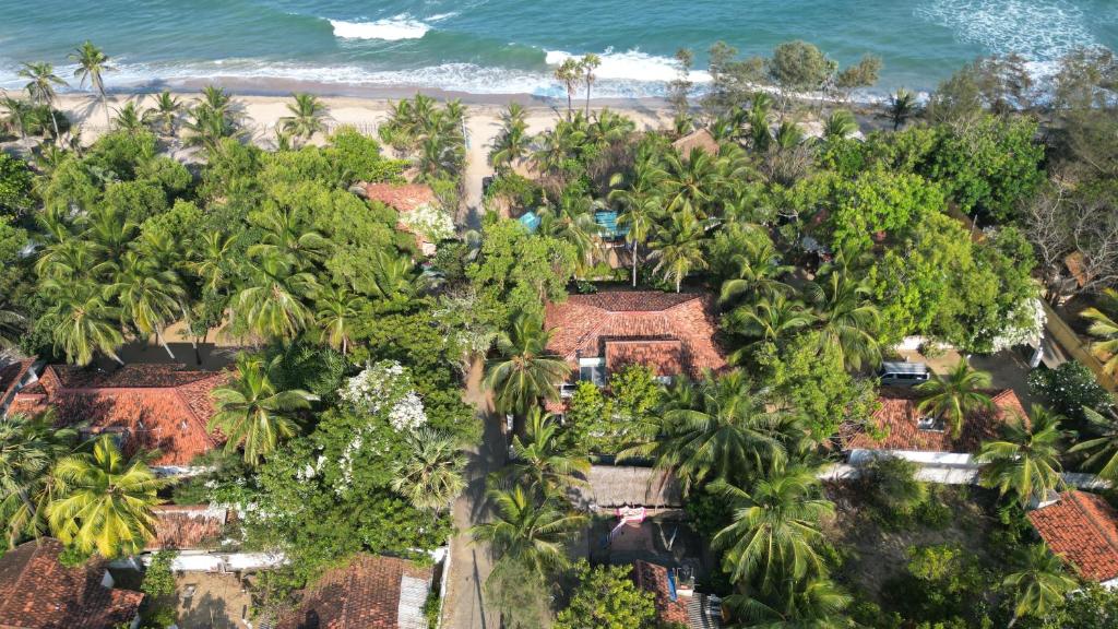 Bay Dreams Beach Hotel & Surf Camp - 18