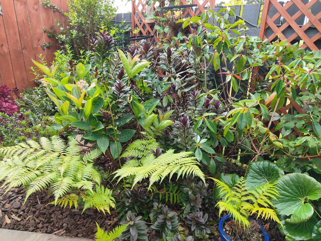 Kerikeri Sunny Modern 2 Bedroom Apartment - Resim 16