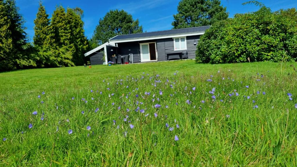 una casa en una colina con un campo de flores púrpuras en Charming summer house close to the sea, en Dronningmølle