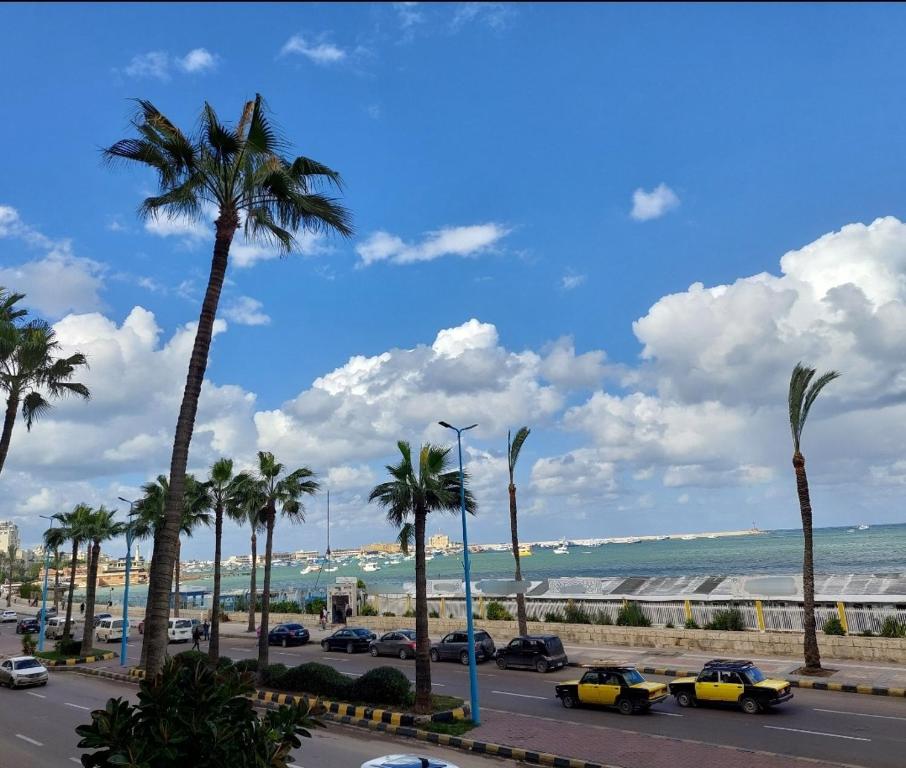 een parkeerplaats met palmbomen en de oceaan bij Alexandria private rooms at Shared apartment, Only Men Guests 仅限男士 in Alexandrië