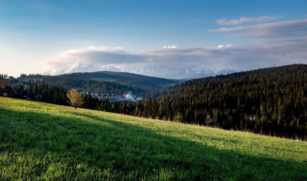 una collina erbosa con montagne sullo sfondo di Hotel BUKOVINA a Bukowina Tatrzańska